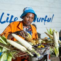 Grilled corn seller
